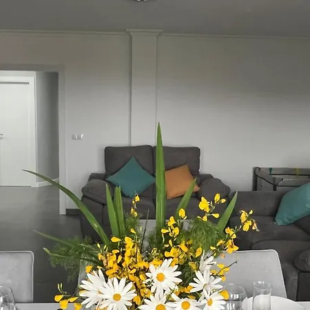 Maria De Lucia-piso 2º Appartement